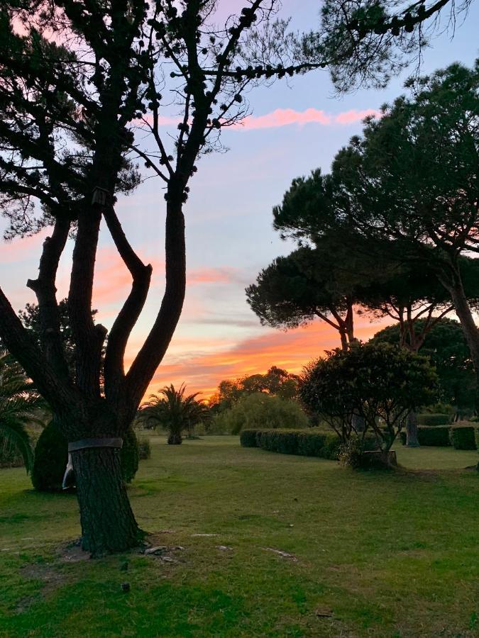 L’ Appart du Golf Saint-Cyprien  Extérieur photo